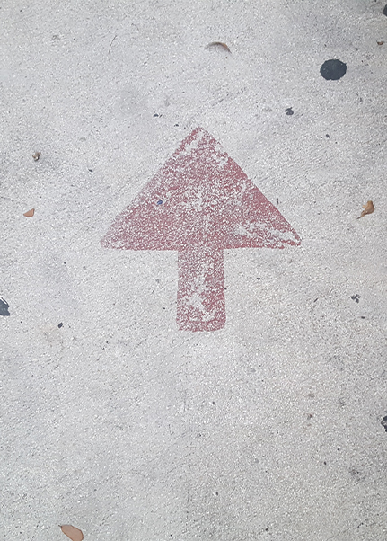 定制化品牌整合营销方案